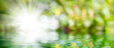 Yeşil bir arkaplanda parlak bir parıltı ve suda yansıma.