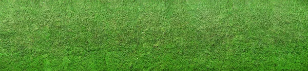 Εικόνα Του Κομμένο Πράσινο Γρασίδι Που Μπορεί Χρησιμοποιηθεί Φόντο Οριζόντια — Φωτογραφία Αρχείου