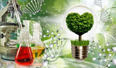 İçinde bir ağacın sembolik olarak yerleştirildiği bir ampulle hayal edin, ve bir kalp gibi görünen ağacın tacı gezegenin kaynaklarını besleme fikri olan çevresel bilinç kavramı. 