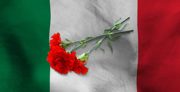 Meksika Bayrağında Yatan Kırmızı Karanfil Resmi — Stok fotoğraf