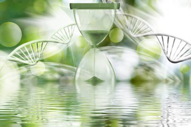 Bir kum saatinin soyut görüntüsü, bulanık yeşil bir alanın şekillendirilmiş DNA zincirlerinin arka planına karşı, uçan soyut topları ve su yüzeyindeki yansıması..