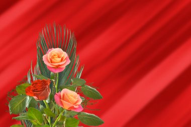 Renkli bahar çiçeklerinin görüntüsü 