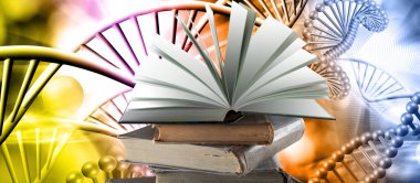 Bilginin kaynağını sembolize eden açık bir kitap. Kitap yığınının üzerinde duran bir kitap. Kitaplardan bilgi edinme kavramı