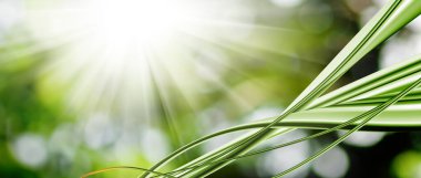 Kesişen çizgiler soyut bir şablon oluşturur. Soyut arkaplan yakın plan görüntüsü