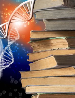 Bir yığın kitabın ve biçimlendirilmiş DNA modellerinin resmi