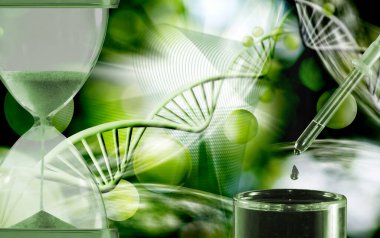 Kum saati, DNA iplikleri ve yeşil organik arka planda bir deney şişesinin üzerine bir damlatıcı. Bu görüntü zamanın geçişini ve genetik araştırmaların ilerlemesini temsil ediyor..