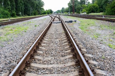Demiryolu raylarının yakın çekim görüntüsü, iki set yol, yeşil ağaçlar ve yapraklarla çevrili olarak uzakta kesişiyor. Güneş parlıyor, uzun gölgeler bırakıyor..