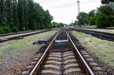 Demiryolu kavşağı manzarası, her iki tarafında yemyeşil bir orman ve bulutlu bir gökyüzü..