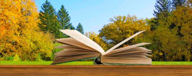 Yıpranmış bir kitap ahşap bir yüzeyde duruyor, sayfaları yavaşça canlı bir sonbahar yeşilliğine doğru dönüyor. Sahne bir sükunet hissi uyandırıyor ve tefekküre davet ediyor..