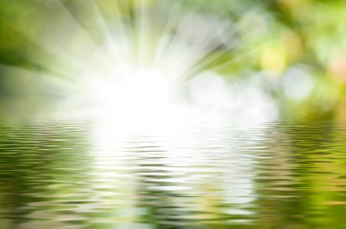 Dalgalanan su, yemyeşil sularla çevrili güneşin yumuşak parıltısını yansıtır. Bu huzurlu an, sabahın erken saatlerinde doğal bir ortamda huzur ve uyumu çağrıştırıyor..