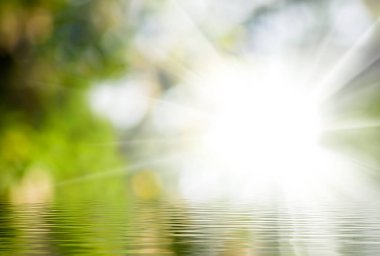Durgun suda parlak güneş ışığı parıldıyor, yemyeşil sularla çevrili sakin bir atmosfer yaratıyor. Yumuşak dalgalar yüzey boyunca dans eder, huzurlu sahneyi güçlendirir..