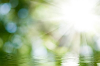 Parlak güneş ışınları canlı yaprakların arasında dalgalanan suyun üzerinde rüya gibi bir ortam yaratarak yazın huzurlu bir doğal ortamın özünü yakalar..