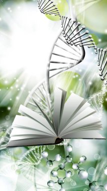 Zamanın kumları ve doğanın hassas dengesi içinde yaşamın yavaş yolculuğu.