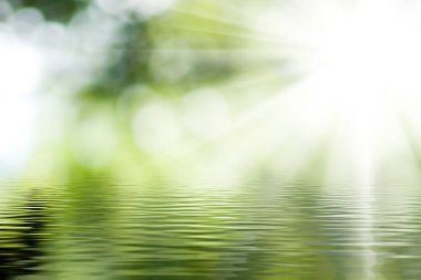 Yumuşak güneş ışınları yemyeşil yaprakların arasından çağlayarak sakin bir su kütlesine ışıl ışıl yansıyor. Atmosfer dingin ve gençleştirici. Huzurlu bir kaçış için mükemmel..