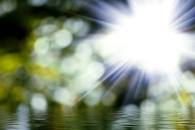 Altın ışınlar yemyeşil ağaçların arasından süzülüp aşağıdaki sakin su yüzeyini aydınlatıyor. Bu sakin sabah doğanın güzelliğini ve yeni bir günün vaadini yansıtıyor..