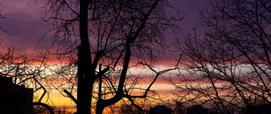 Gün batımında gökyüzü bir renk tuvaline dönüşürken, ağaçların karanlık siluetleri ufku çerçevelerken, akşam karanlığında bir sükunet ve merak hissi uyandırıyor..