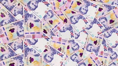 Canlı döviz banknotları büyüleyici bir şekilde düzenlenir. Karmaşık tasarımlarını ve renklerini gözler önüne sererler. Bu sanat koleksiyonu ticaret, ekonomi ve refahı sembolize eder.