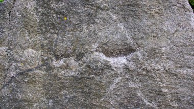 Karmaşık oymalar engebeli bir taş yüzeyi süslüyor, ayrıntılı şekiller ve semboller sergiliyor. Bu sanat eseri antik bir toplumun yaratıcılığını ve kültürünü yansıtıyor, uzak geçmişten hikayeler yakalıyor..