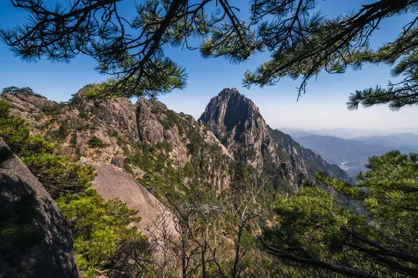 Yeşillik çam ağaçlarının dallarıyla çerçevelenmiş yüksek dağ zirvelerinin nefes kesici manzarası. Engebeli, kayalık arazi ve canlı yeşillik çarpıcı bir doğal manzara yaratır. Yürüyüş, fotoğrafçılık ya da Nat 'in huzurlu güzelliğinin tadını çıkarmak için ideal.