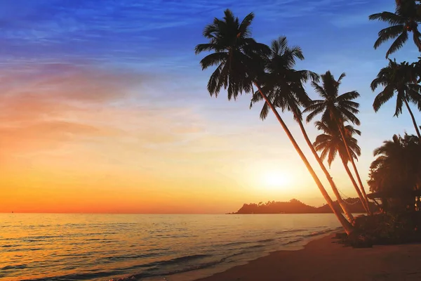 Красивый Экзотический Пляжный Пейзаж Закате Тропический Отдых Море — стоковое фото