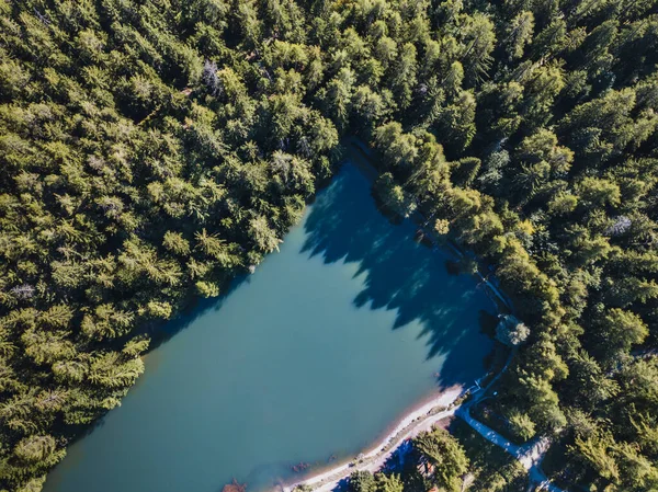 森林中美丽的高山湖泊的空中景观 瑞士的自然 — 图库照片