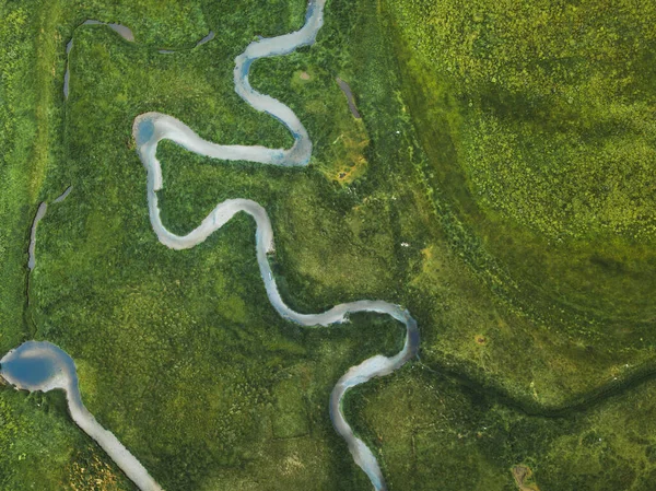 绿地蜿蜒河流的空中景观 无人机拍出的美丽自然质感的顶视图 — 图库照片