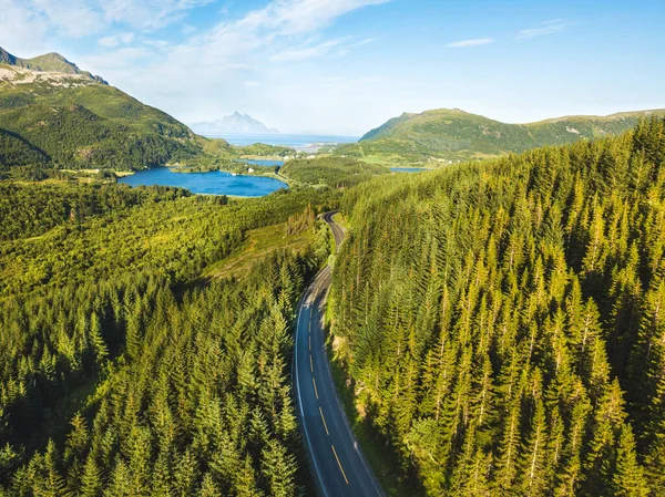 Beautiful Aerial View Asphalt Road Forest — Stock Photo, Image