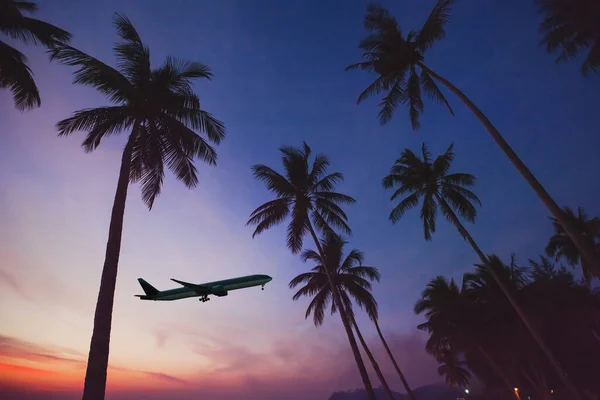 Flygplan Som Lyfter Från Flygplatsen Tropiskt Land Silhuett Flygplan Himlen — Stockfoto
