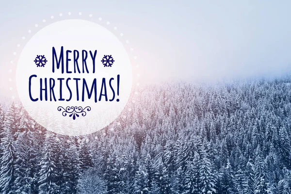 Boldog Karácsonyt Kártya Télen Havas Erdő Háttér — Stock Fotó