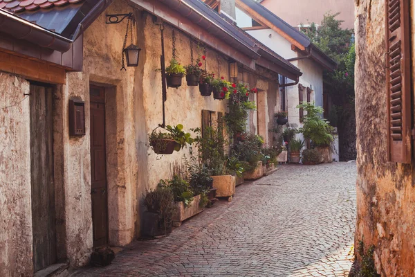 Utazás Európába Sétáló Hangulatos Városi Utca Régi Járdával Házak Díszített — Stock Fotó