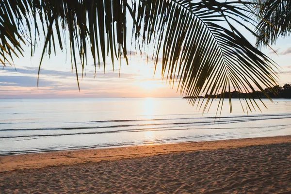 Tropikalna Plaża Zachodzie Słońca Pusty Egzotyczny Krajobraz Wakacyjny Palmą Spokojna — Zdjęcie stockowe