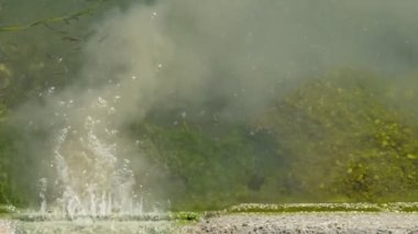 Atık sudan kaynaklanan çevre kirliliği. Tedavi edilmemiş suyun doğal bir göle boşaltılması: işlenmemiş kirli su bir grup küçük balığın yakınındaki bir borudan akar.