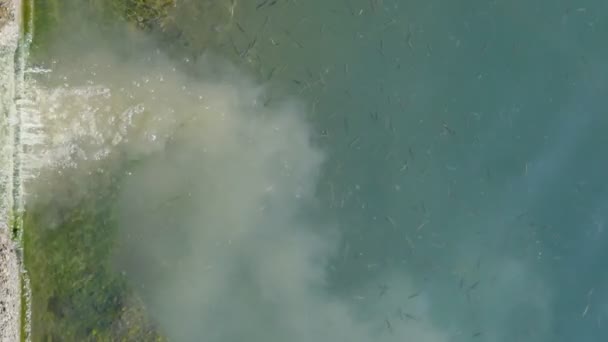 Загрязнение Окружающей Среды Сточными Водами Выброс Необработанной Воды Естественное Озеро — стоковое видео