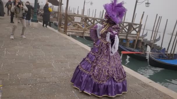 Två Personer Klädda Franska Kostymer Närvarade Vid Karnevalen Den Februari — Stockvideo