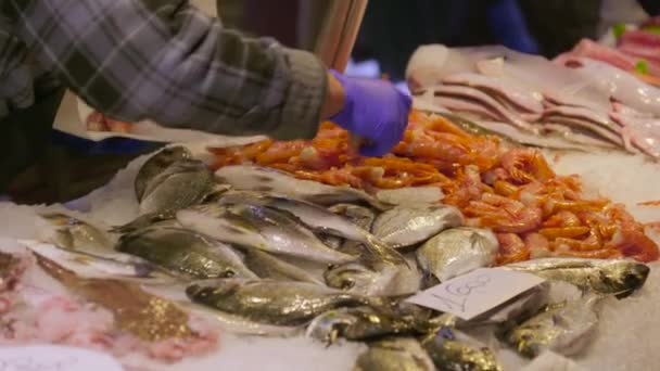 Ryby Vystavené Rybím Trhu Rialto Benátkách — Stock video
