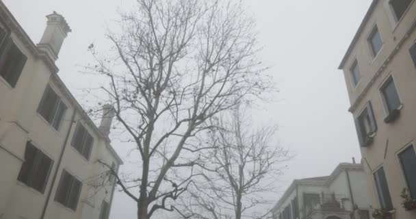Stadtbild Von Venedig Einem Nebligen Wintertag — Stockvideo