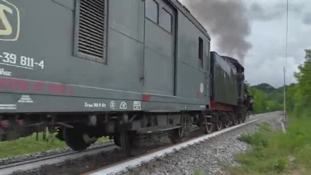 緑豊かな田園地帯を客車を引く古い蒸気機関車 — ストック動画