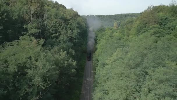 田舎を介した古い蒸気機関車の空中観察 — ストック動画