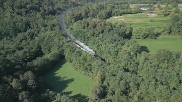Vue Aérienne Une Vieille Locomotive Vapeur Travers Une Campagne — Video