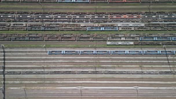 Вид Воздуха Железнодорожный Узел Грузовыми Поездами Контейнерными Вагонами — стоковое видео