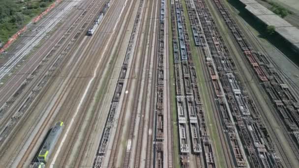 Luftaufnahme Des Eisenbahnknotenpunktes Mit Güterzügen Und Containerwagen — Stockvideo