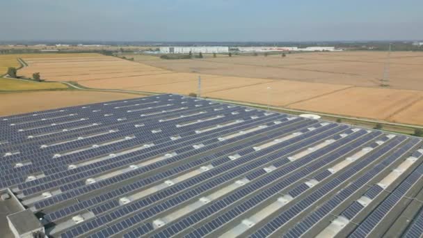 Luftaufnahme Eines Solarkraftwerks Mit Vielen Reihen Von Photovoltaikmodulen Zur Erzeugung — Stockvideo