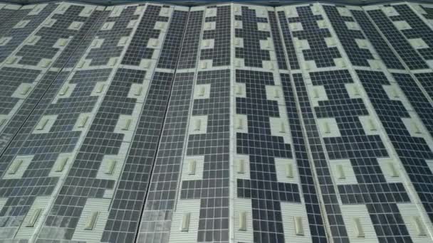 Légi Felvétel Naperőmű Sok Sor Fotovoltaikus Panelek Előállítására Tiszta Villamos — Stock videók