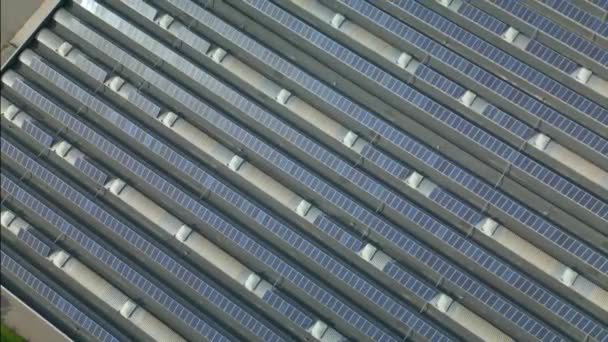 Воздушный Обзор Солнечной Электростанции Многими Рядами Фотоэлектрических Панелей Производства Чистой — стоковое видео