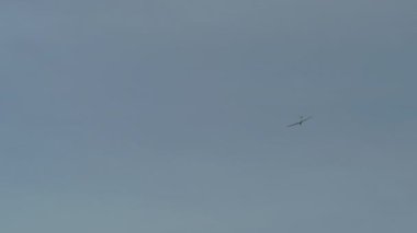 Gökyüzünde planör çeken bir pervane düzlemi (yelken uçağı).