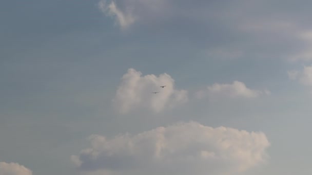 Vrtule Letadlo Táhnoucí Kluzák Kluzák Obloze — Stock video