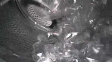 Varili plastik şişelerle dolduran bir ev kadınının çamaşır makinesinin içinden bak. Yeşil ekran, alfa kanallı siyah arkaplanda izole edilmiş. Plastik ve ekolojinin geri dönüşümü kavramı. Plastik atık.