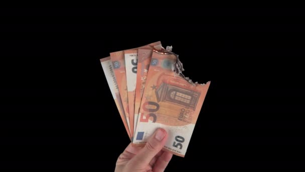 ドル紙幣から爆弾を 木製の床に燃やした 金融危機 お金の喪失 破産という概念 — ストック動画