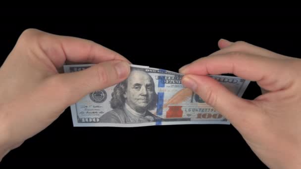 Homem Queima Maços Notas Dólar Num Chão Madeira Conceito Inflação Videoclipe
