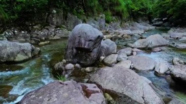 Güzel orman ve dere 